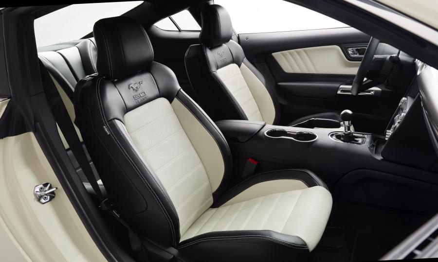 Ford Mustang GT 50th Anniversary Edition 2015 года  (фото 11 из 24)